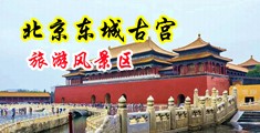 大鸡巴狂操美女骚逼中国北京-东城古宫旅游风景区